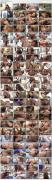 Скриншот №1 для [Black] Naughty Black Housewives 6 / Непослушные Чёрные Домохозяйки 6 (L.T. / Elegant Angel) [2021 г., BBC, Big Butt, Black, Black Women, Blowjobs, Cumshots, Erotic Vignette, High Heels, Lingerie, Naturally Busty, Pantyhose & Stockings, Shaved, S ]