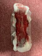 Скриншот №8 для 2021-12-01 Использованные прокладки и менструация (часть 77) [Menstruation, Tampons, Pads, Period, Blood] [1000*750 до 4752*3168, 500 фото]