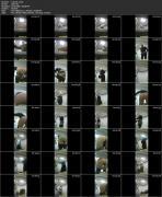 Скриншот №2 для [EgoisteWC.com] Train-Series full collection (8 видео) [2020 г., Peeing, Voyeur, Toilet, 1080p, SiteRip]
