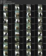 Скриншот №5 для [EgoisteWC.com] Train-Series full collection (8 видео) [2020 г., Peeing, Voyeur, Toilet, 1080p, SiteRip]