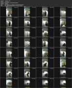 Скриншот №7 для [EgoisteWC.com] Train-Series full collection (8 видео) [2020 г., Peeing, Voyeur, Toilet, 1080p, SiteRip]