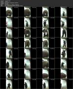 Скриншот №8 для [EgoisteWC.com] Train-Series full collection (8 видео) [2020 г., Peeing, Voyeur, Toilet, 1080p, SiteRip]
