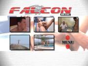 Скриншот №2 для Rocky & Amigos / Рокки и Друзья (M. Max, Falcon Do Brasil) [2005 г., Latin, Hunk, Bear, Threesome, Muscle, Hairy, Beach, DVD5]