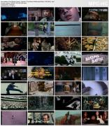 Скриншот №9 для 42nd Street Forever, Volume 5: The Alamo Drafthouse Edition / 42-я улица навсегда, Том 5: Издание Alamo Drafthouse (Ban 1 Productions, Synapse Films) [1950-80 s г., Erotic, Documentary, Compilation, Trailers, DVDRip]