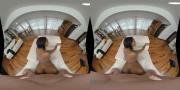 Скриншот №5 для [WankzVR.com] Zoey Sinn (Almost Adultery) [2022 г., vr, virtual reality, hardcore, pov, straight, 1on1, indoor, exotic, brunette, tattoo, living room, English language, blowjob, handjob, big tits, fake tits, piercings, pierced nose, necklace, bracele ]