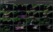 Скриншот №1 для [xcadr.net] 1985-2020 г.г. разные - Подборки сцен из фильмов / Секс сцены в лесу [Erotic Movies] [DVDRip]