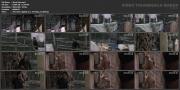 Скриншот №10 для [xcadr.net] 1985-2020 г.г. разные - Подборки сцен из фильмов / Сцены подглядывания в фильмах [Erotic Movies] [DVDRip]
