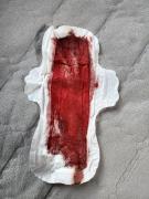 Скриншот №8 для 2022-12-07 Использованные прокладки и менструация (часть 88) [Menstruation, Tampons, Pads, Period, Blood] [1000*750 до 4752*3168, 500 фото]