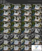 Скриншот №5 для Asian Hidden Camera Couples Escorts Pack 020 (201 Clips) [All Sex, Amateur, Asian, Blowjob, Brunette, Couples, Creampie, Doggystyle, Hardcore, Hidden Camera, Skinny, Spycam, Stockings, Teen, Voyeur, 480p, 540p, 720p, 1080p, 2160p, CamRip]