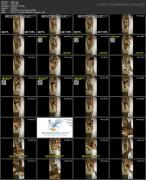 Скриншот №8 для Asian Hidden Camera Couples Escorts Pack 020 (201 Clips) [All Sex, Amateur, Asian, Blowjob, Brunette, Couples, Creampie, Doggystyle, Hardcore, Hidden Camera, Skinny, Spycam, Stockings, Teen, Voyeur, 480p, 540p, 720p, 1080p, 2160p, CamRip]