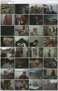 Скриншот №9 для Wit s End / Остроумный конец (Joel M. Reed, Cathay-Keris Film Productions,Lion City) [1971 г., Action, Adventure, Mystery, Thriller, Erotic, DVDRip]