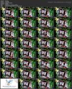 Скриншот №2 для Asian Hacked ipcam Pack 002 (208 Clips) [All Sex, Amateur, Asian, Blowjob, Brunette, Couples, Creampie, Doggystyle, Hardcore, Hidden Camera, Skinny, Spycam, Stockings, Teen, Voyeur, 480p, 540p, 720p, 1080p, 2160p, CamRip]