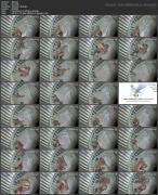 Скриншот №7 для Asian Hacked ipcam Pack 004 (161 Clips) [All Sex, Amateur, Asian, Blowjob, Brunette, Couples, Creampie, Doggystyle, Hardcore, Hidden Camera, Skinny, Spycam, Stockings, Teen, Voyeur, 480p, 540p, 720p, 1080p, 2160p, CamRip]