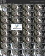 Скриншот №1 для Asian Hidden Camera Couples Escorts Pack 095 (125 Clips) [All Sex, Amateur, Asian, Blowjob, Brunette, Couples, Creampie, Doggystyle, Hardcore, Hidden Camera, Skinny, Spycam, Stockings, Teen, Voyeur, 480p, 540p, 720p, 1080p, 2160p, CamRip]