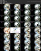 Скриншот №7 для Asian Hidden Camera Couples Escorts Pack 095 (125 Clips) [All Sex, Amateur, Asian, Blowjob, Brunette, Couples, Creampie, Doggystyle, Hardcore, Hidden Camera, Skinny, Spycam, Stockings, Teen, Voyeur, 480p, 540p, 720p, 1080p, 2160p, CamRip]