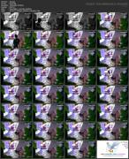 Скриншот №1 для Asian Hacked ipcam Pack 009 (133 Clips) [All Sex, Amateur, Asian, Blowjob, Brunette, Couples, Creampie, Doggystyle, Hardcore, Hidden Camera, Skinny, Spycam, Stockings, Teen, Voyeur, 480p, 540p, 720p, 1080p, 2160p, CamRip]