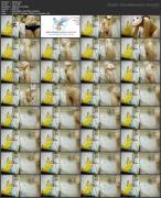 Скриншот №10 для Hidden-Zone Asian Edition Pack 016 27-28 May 2023 (125 Clips) [Amateur, Asian, Hidden Camera, Skinny, Spycam, Teen, Upskirt, Voyeur, 480p, 540p, 720p, 1080p, 2160p, CamRip]