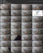Скриншот №8 для Hidden-Zone Asian Edition Pack 017 29-30 May 2023 (125 Clips) [Amateur, Asian, Hidden Camera, Skinny, Spycam, Teen, Upskirt, Voyeur, 480p, 540p, 720p, 1080p, 2160p, CamRip]